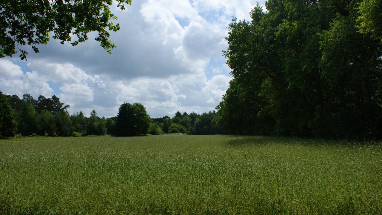 Akker Ridderoordse Bos