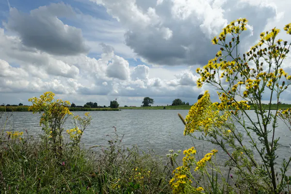 Palmerswaard