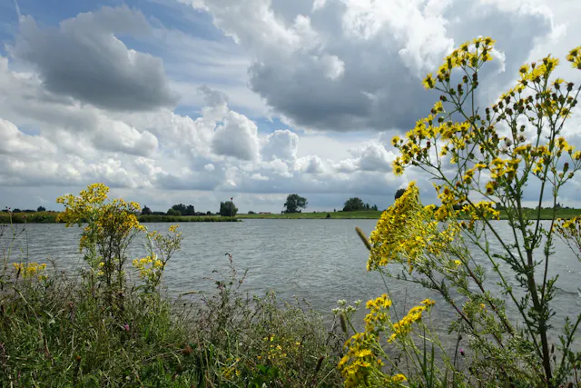 Palmerswaard