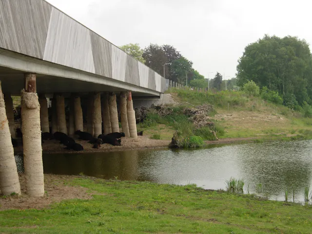 ecoduct Elster Buitenwaarden en Plantage Willem III