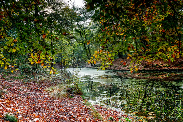 Waterpartij Pavia