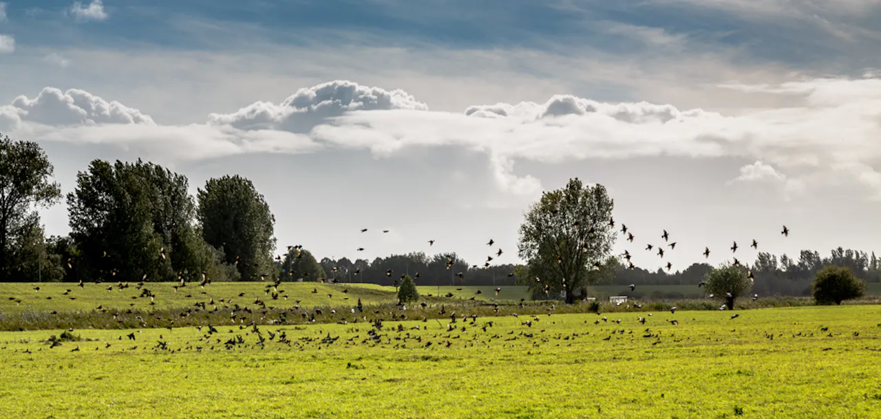 Polder Eendragt