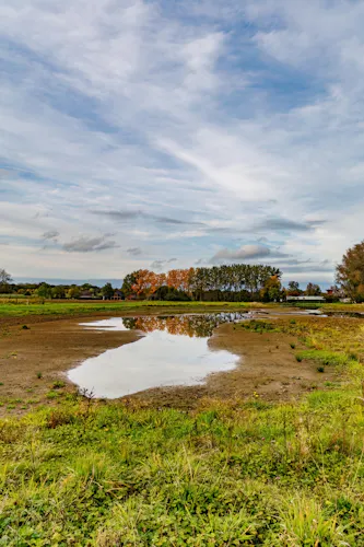 Natuurgebied Lage Grond - fotograaf Dick Jeukens