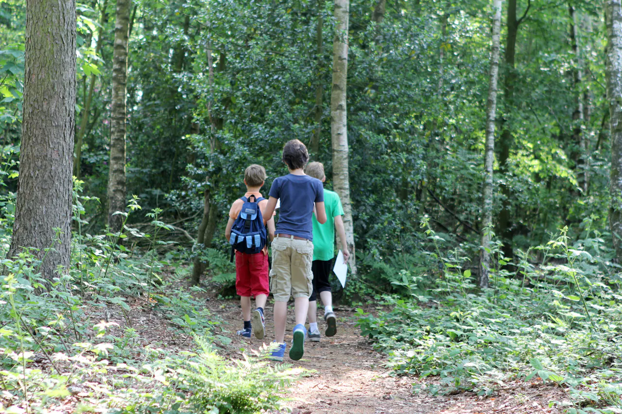 kinderen in het bos van Stoutenburg