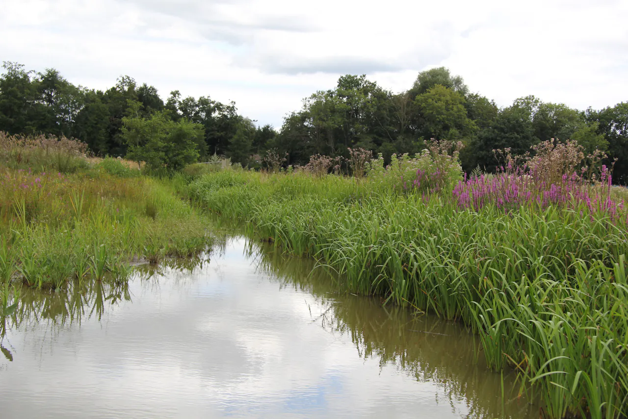waterpartij in De Bunsing