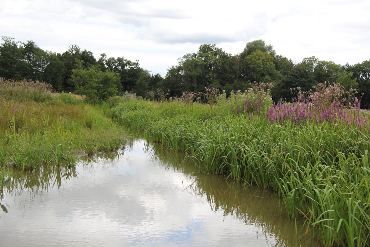 waterpartij in De Bunsing