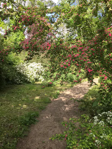 Kasteelpark Loenersloot