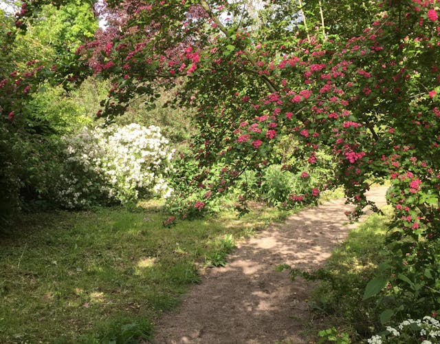 Kasteelpark Loenersloot