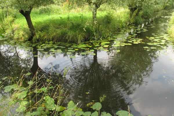 sloot polder Bolgerijen