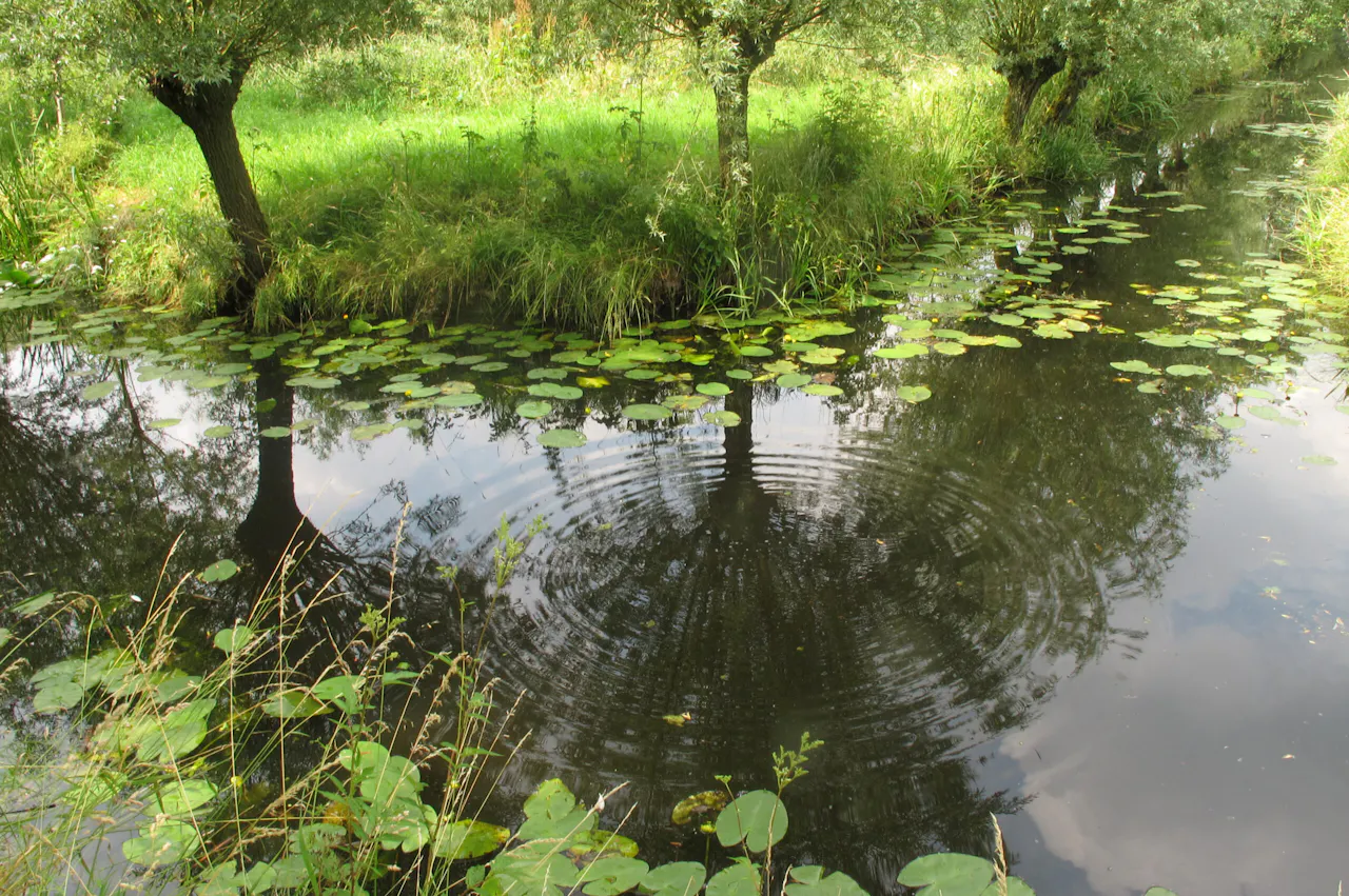 sloot polder Bolgerijen