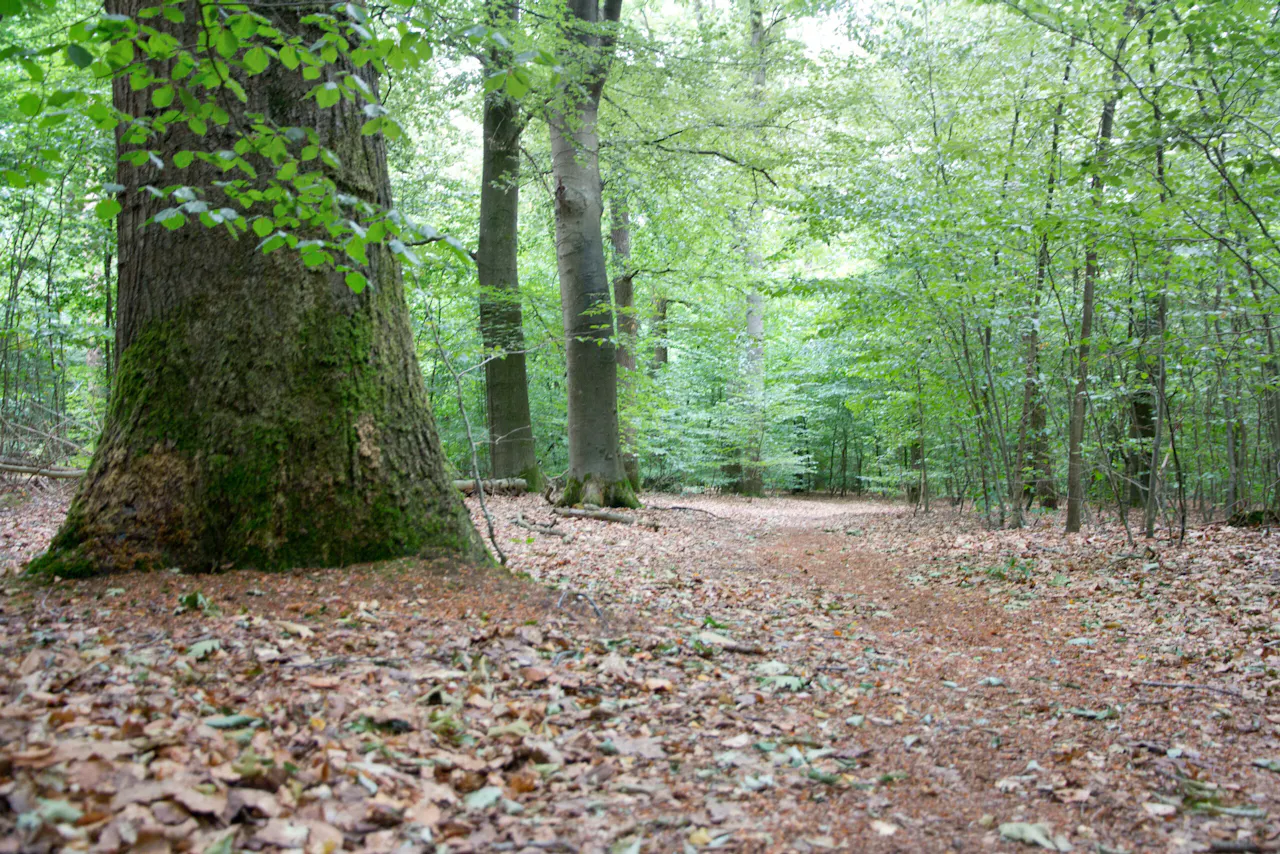 Kozakkenput