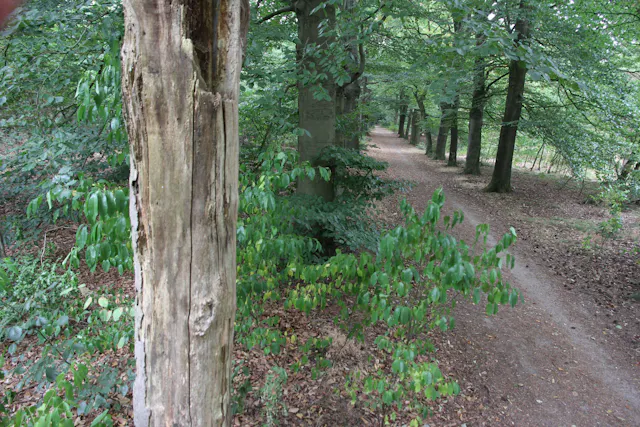 Kozakkenput