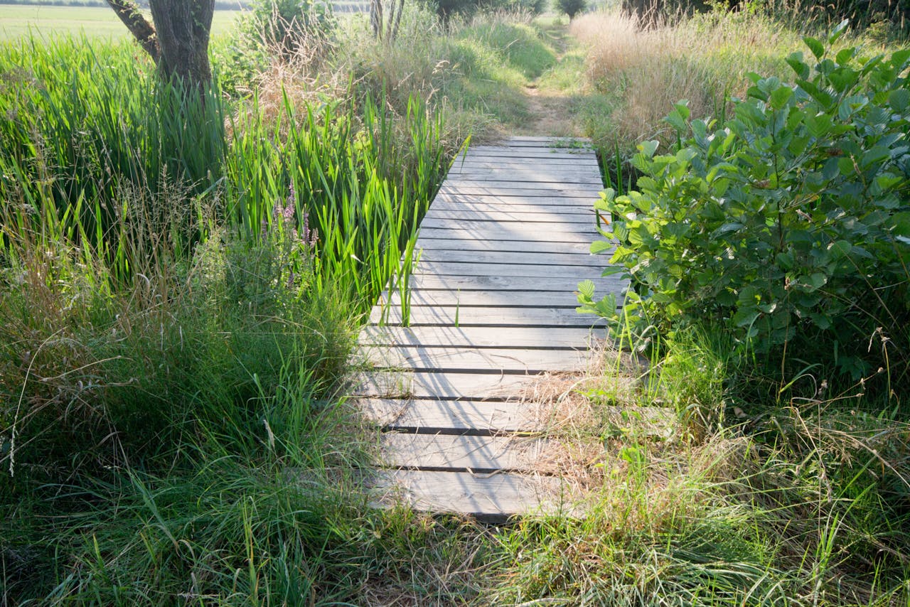 Bolgerijen loopbruggetje