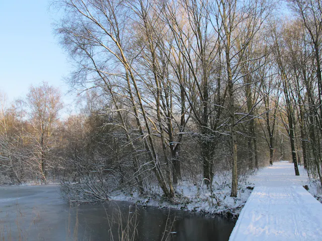 Sneeuw op Kooilust