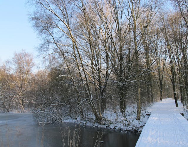 Sneeuw op Kooilust