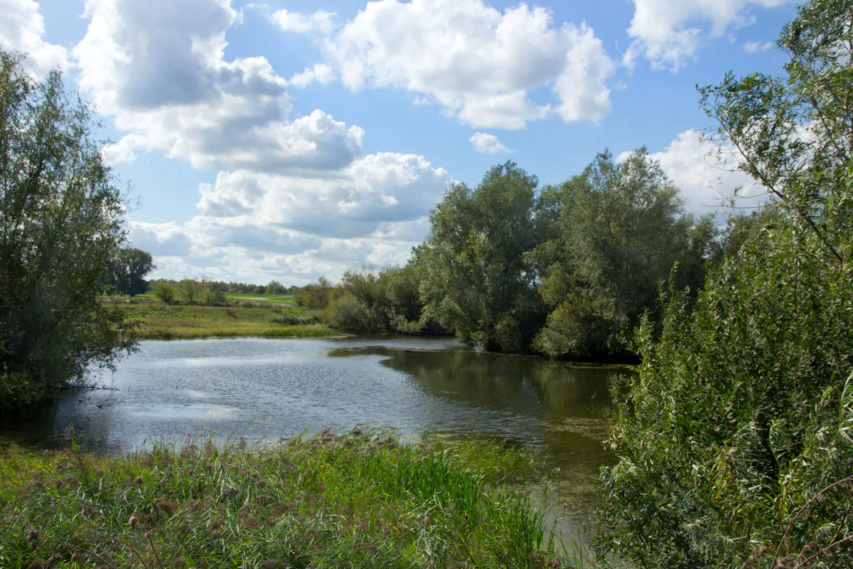Palmerswaard Onder De Loep Utrechts Landschap palmerswaard-onder-de-loep-utrechts-landschap