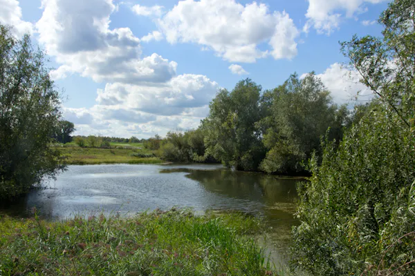 Kreek Palmerswaard