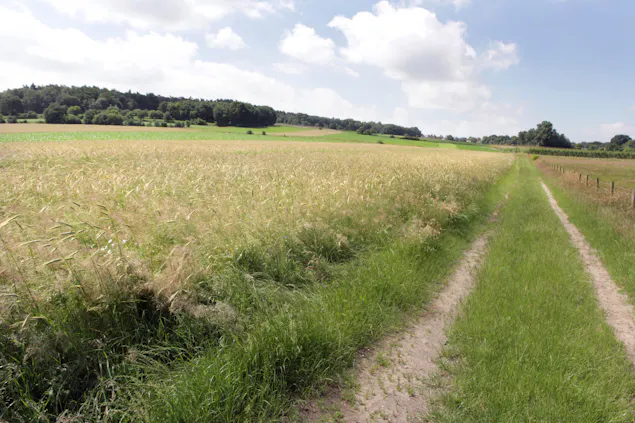 akkers Laarsenberg