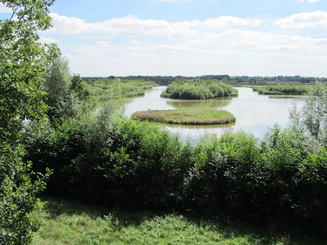 Uitzicht over Amerongse Bovenpolder