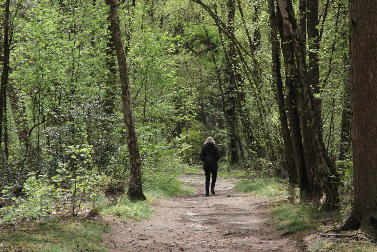 Wandelaar Hoog Moersbergen
