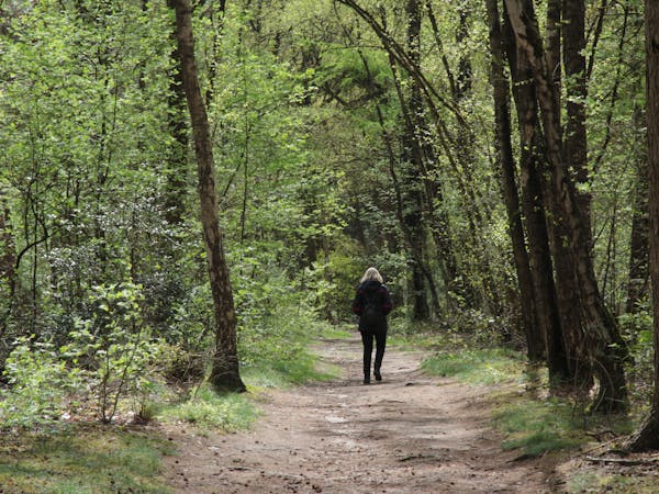 Wandelaar Hoog Moersbergen
