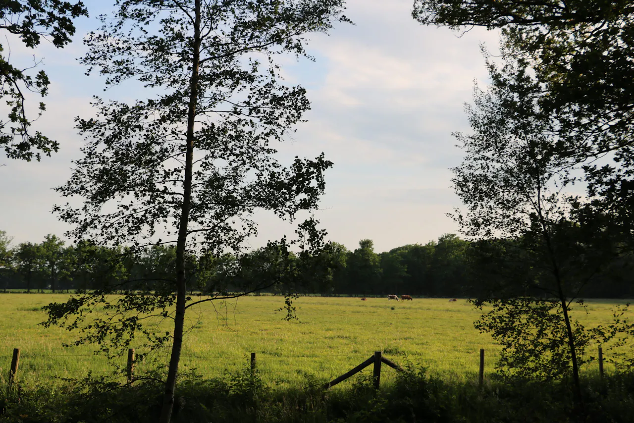 weiland Beukenburg en de Leyen