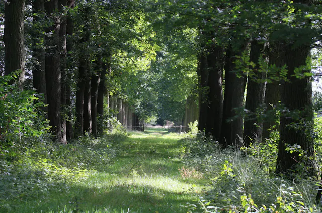 Broekerbos