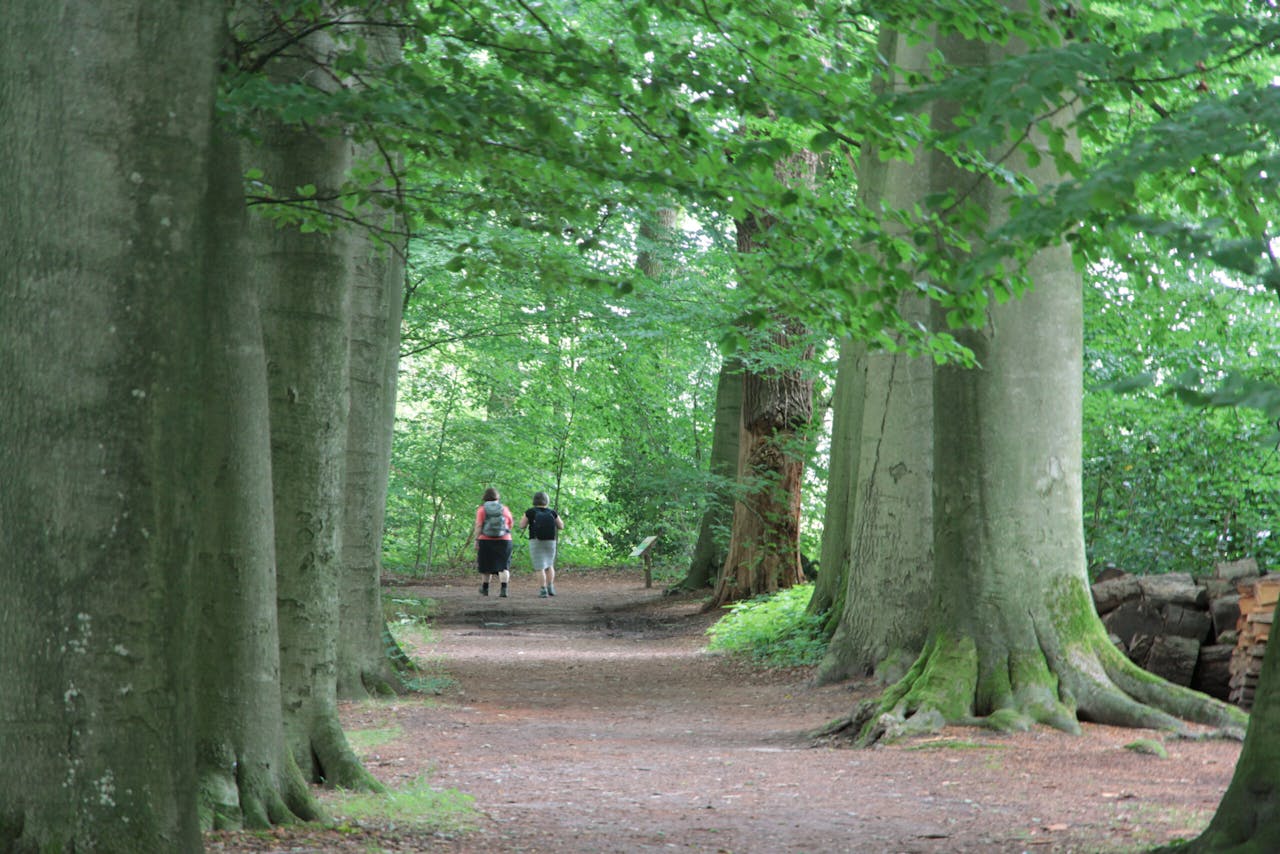 Beukenlaan Stoutenburg