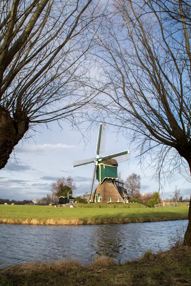 doorkijk wilgen Kockengense Molen