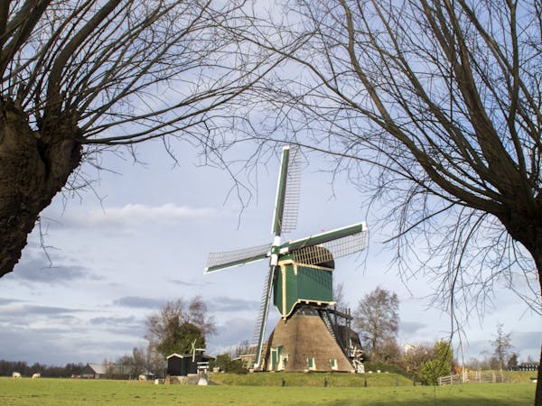 doorkijk wilgen Kockengense Molen