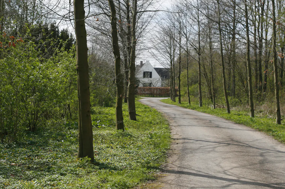 asfaltweg op landgoed Niënhof
