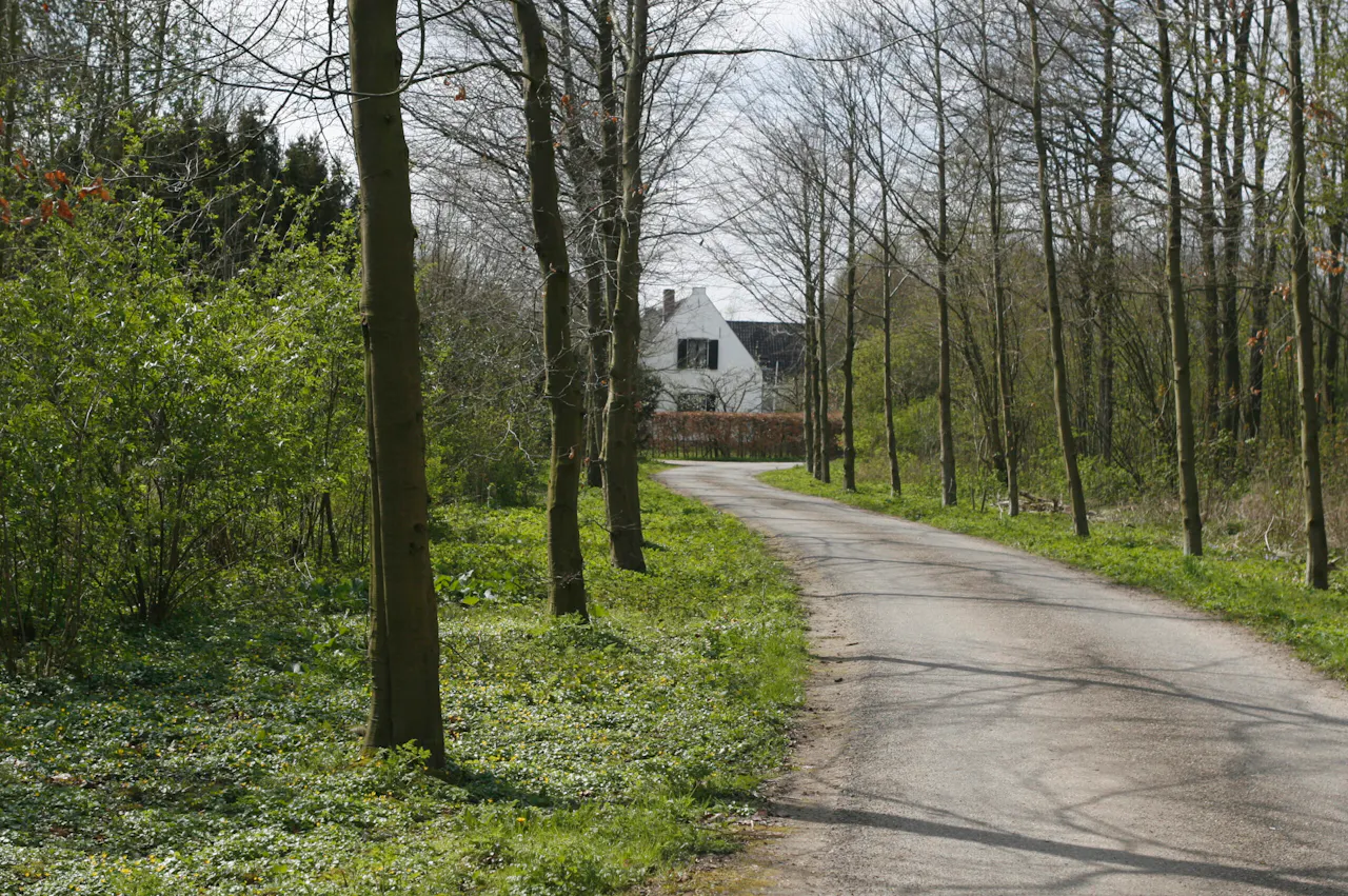 asfaltweg op landgoed Niënhof