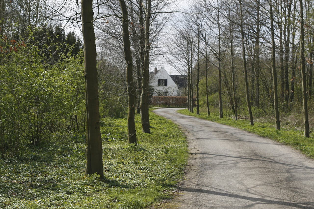 asfaltweg op landgoed Niënhof