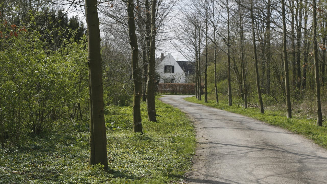 asfaltweg op landgoed Niënhof