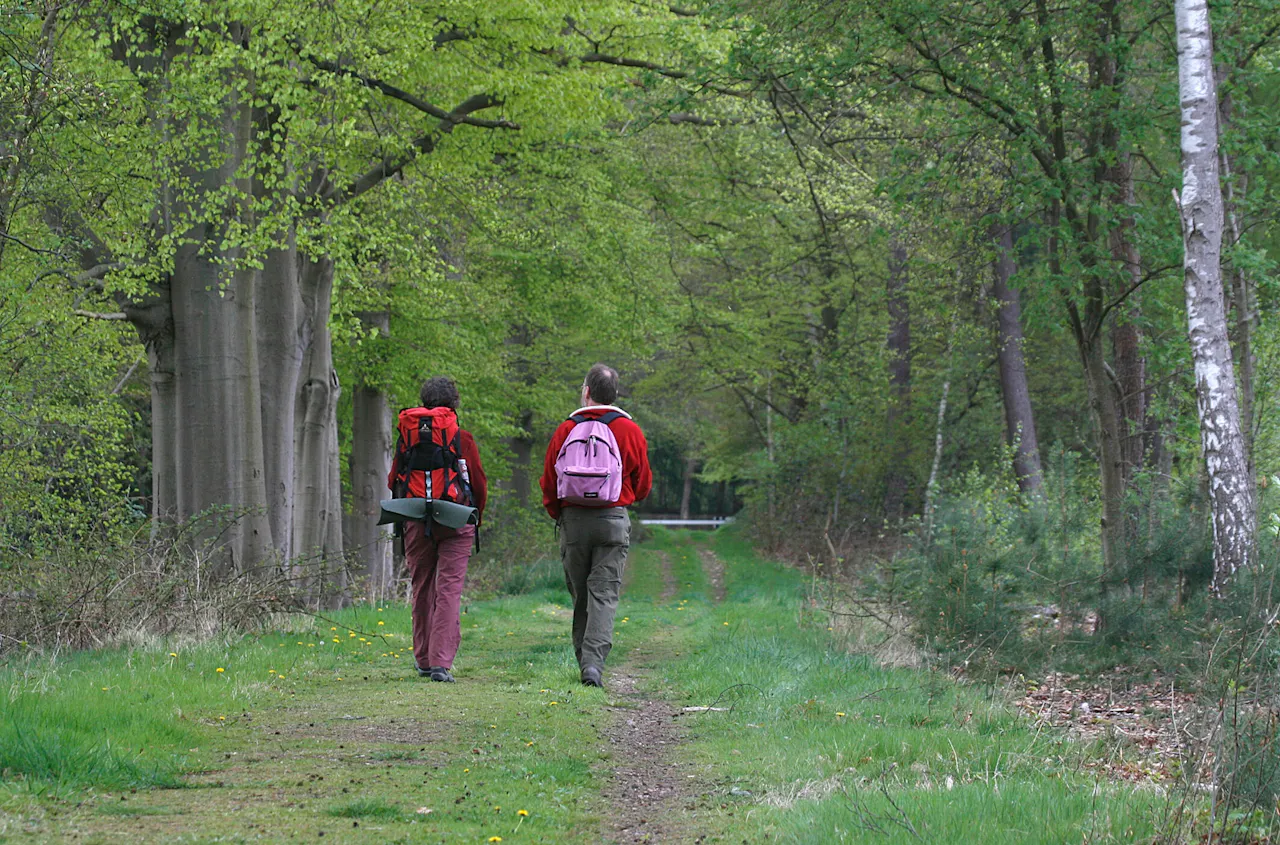 wandelaars Ridderoordse Bos