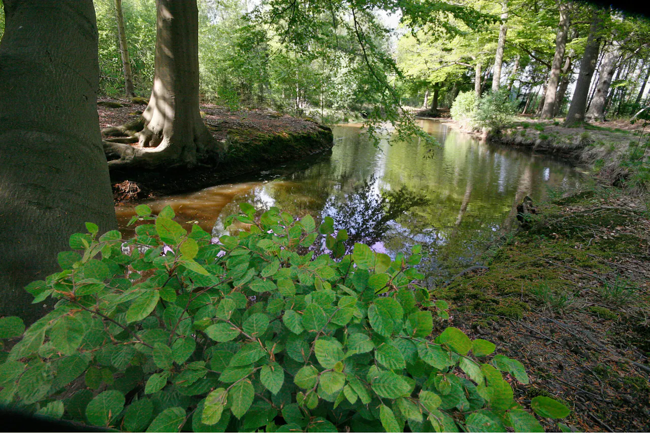 waterpartij De Leyen
