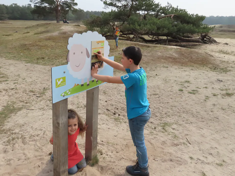 kinderen op Schapenroute Heidestein