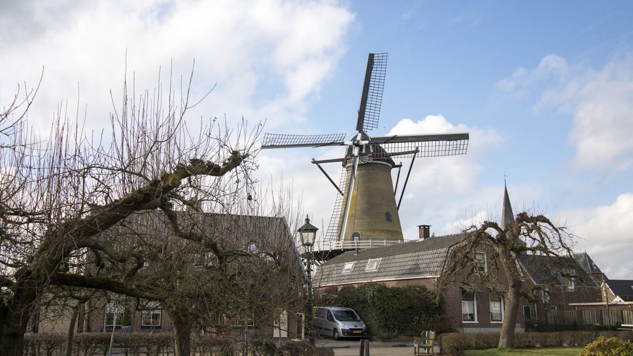 Molen Oog in t Zeil in het dorp