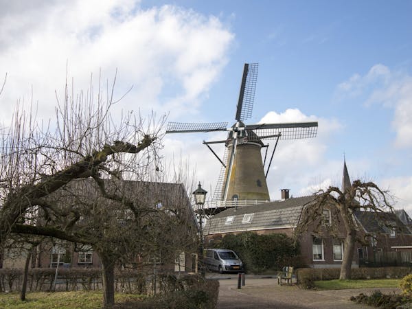 Molen Oog in t Zeil in het dorp