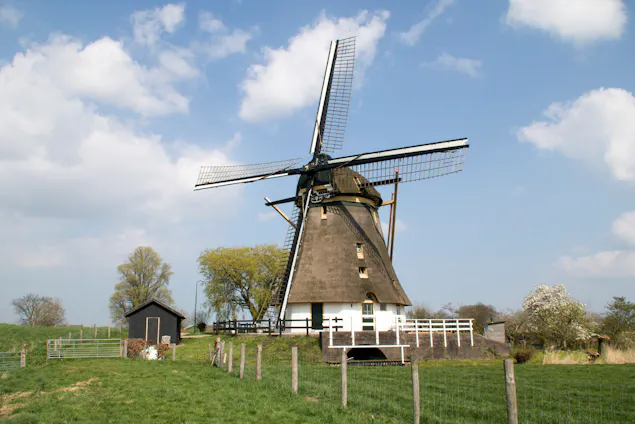 Oostzijdse Molen in landschap