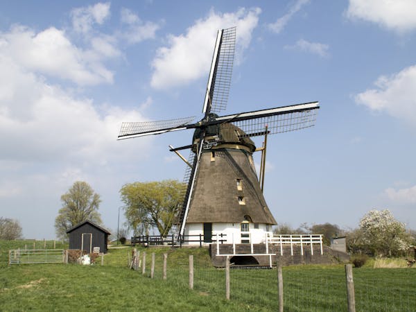 Oostzijdse Molen in landschap