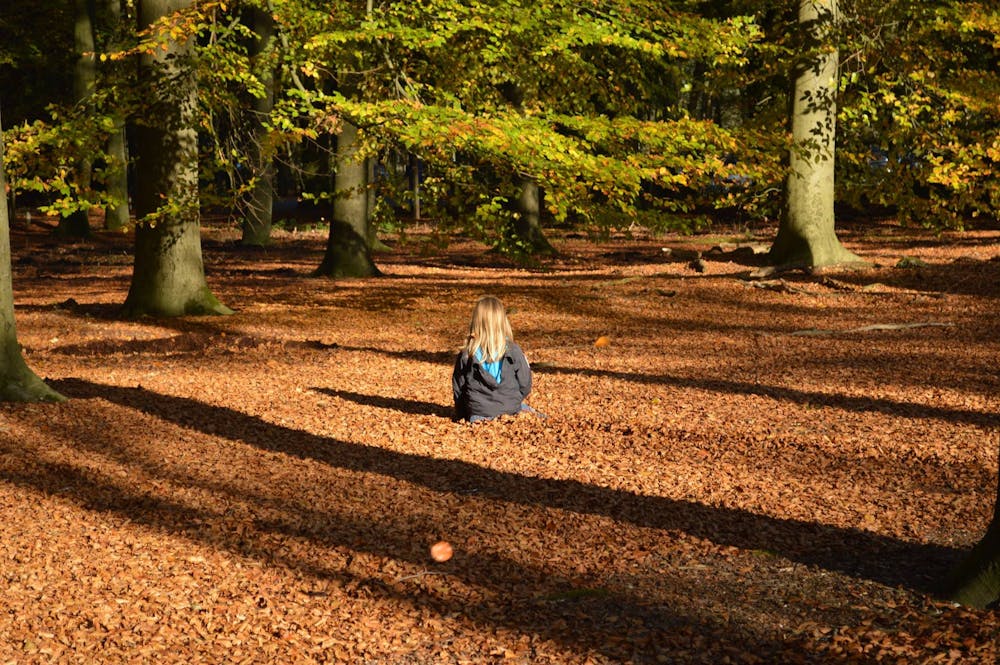 Landgoed De Paltz - Utrechts Landschap