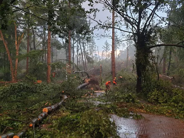 stormschade valwind Breeveen
