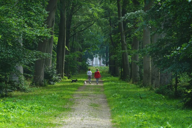 wandelaars met hond Over Holland