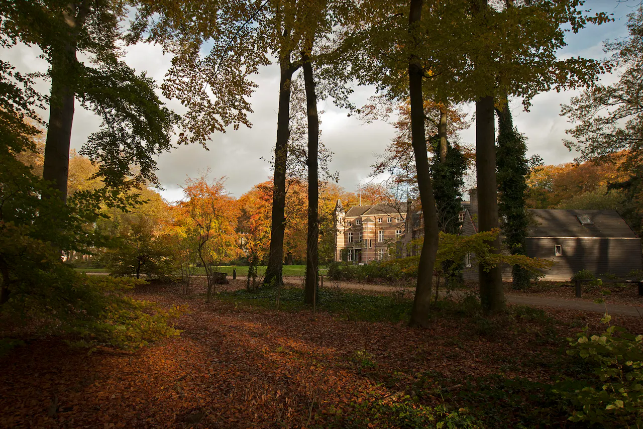 herfst op Stoutenburg