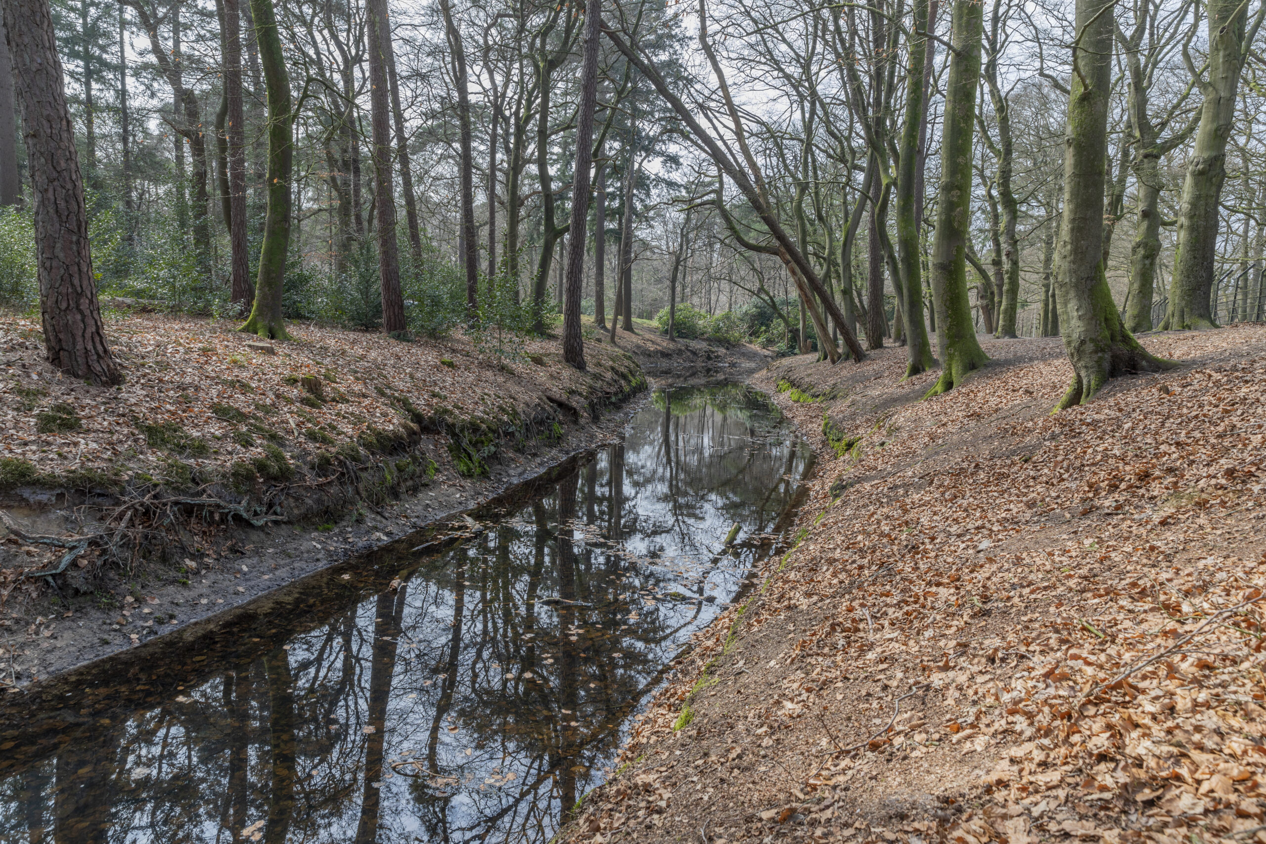 sprengenbeek na herstel