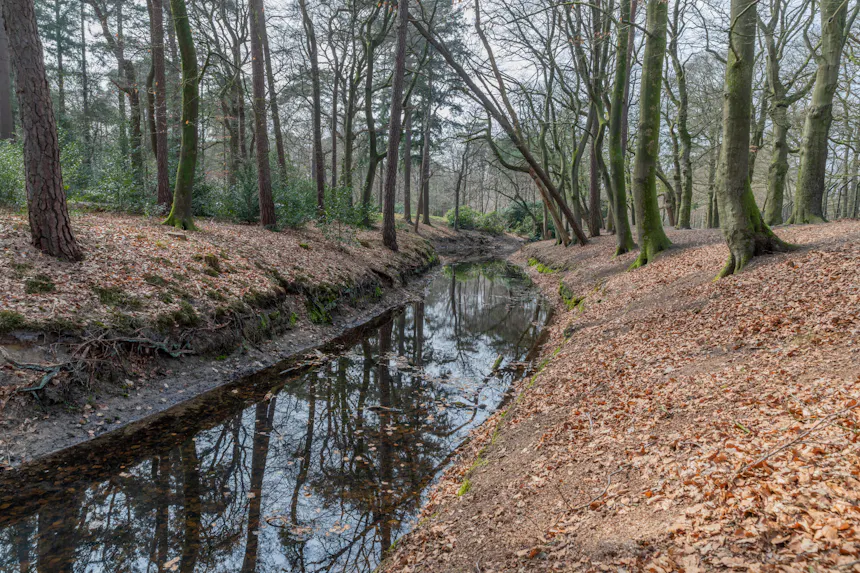 sprengenbeek na herstel