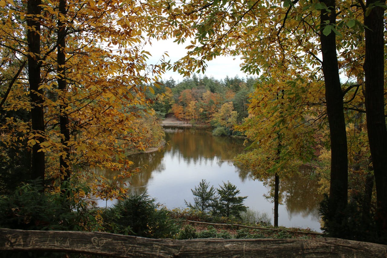 herfst bosvijver Birkhoven