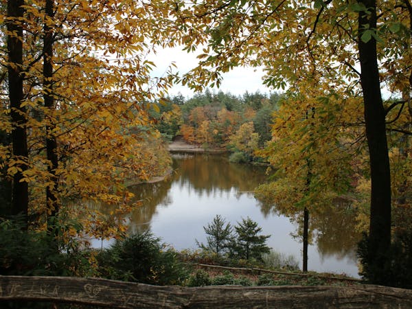 herfst bosvijver Birkhoven