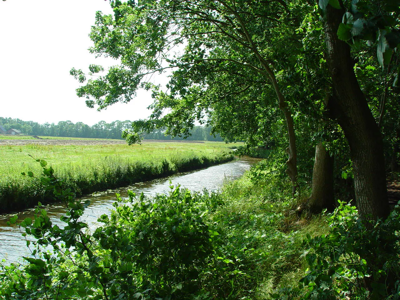 uitzicht over weilanden Stoutenburg